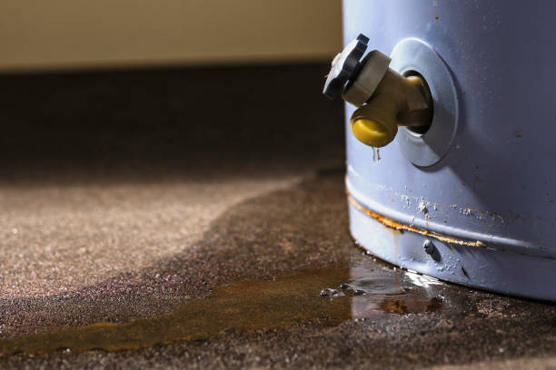 Best Water damage restoration services  in Plymouth, MI