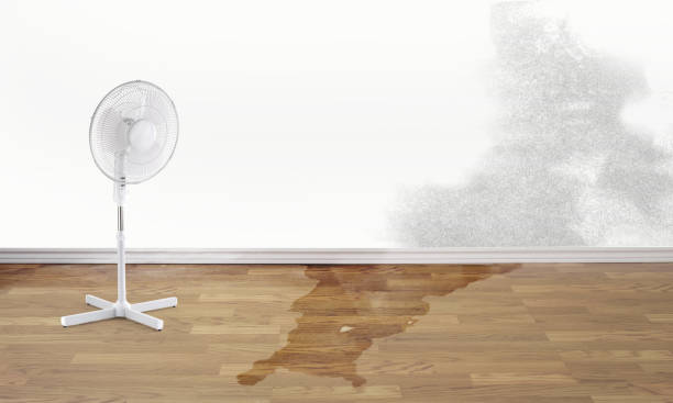 Best Water damage restoration process  in Plymouth, MI