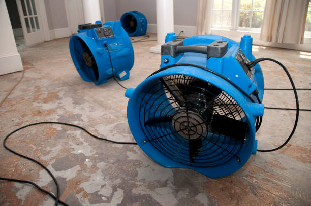 Best Mold removal after water damage  in Plymouth, MI