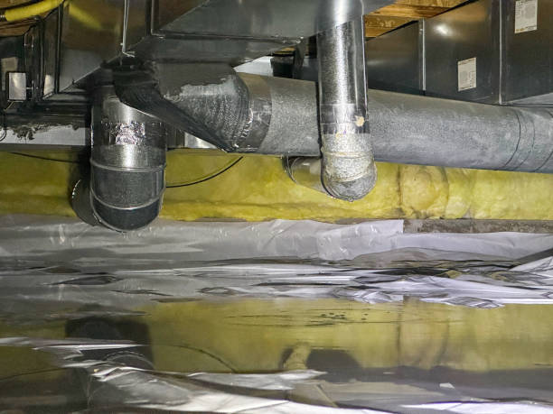 Best 24/7 water damage repair  in Plymouth, MI