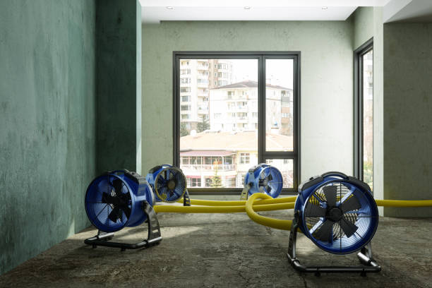 Best Carpet water damage restoration  in Plymouth, MI